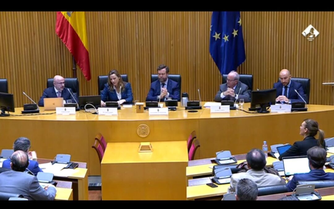 Intervención en el Congreso de los Diputados